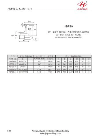 מתאם SAE 6000 מרפק אוגן BSP 60